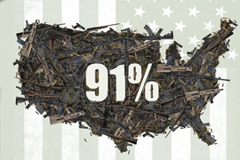 91%: A Film About Guns in America